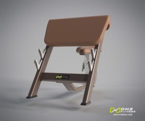 DHZ Style I Pro E1044 Скамья для бицепса с сиденьем фото