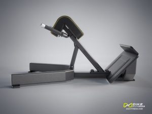 DHZ Style I Pro E1045 Тренажер для разгибания спины (Гиперэкстензия) фото
