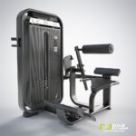 DHZ Fitness Fusion Pro E7031 Разгибание спины