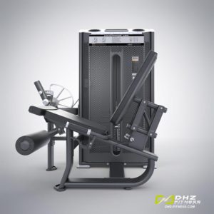 DHZ Fitness Prestige Pro E7002A Разгибание ног фото