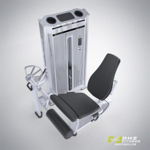 DHZ Fitness Prestige Pro E7002A Разгибание ног фото
