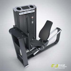 DHZ Fitness Prestige Pro E7003A Жим ногами фото