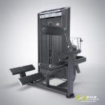 DHZ Fitness Prestige Pro E7031A Разгибание спины