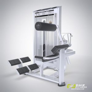 DHZ Fitness Prestige Pro E7031A Разгибание спины фото