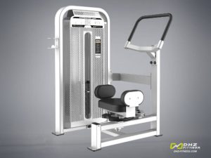 DHZ Fitness Fusion E5000 E5018 Торс-машина фото
