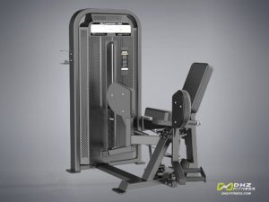 DHZ Fitness Fusion E5000 E5022 Сведение ног фото