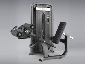 DHZ Fitness Fusion E5000 E5086 Сгибание / разгибание ног сидя фото