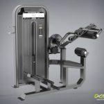 DHZ Fitness Fusion E5000 E5088 Пресс машина / разгибание спины