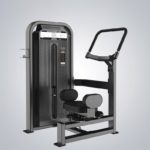 DHZ Fitness Fusion E5000 E5018 Торс-машина