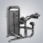 DHZ Fitness Fusion E5000 E5088 Пресс машина / разгибание спины